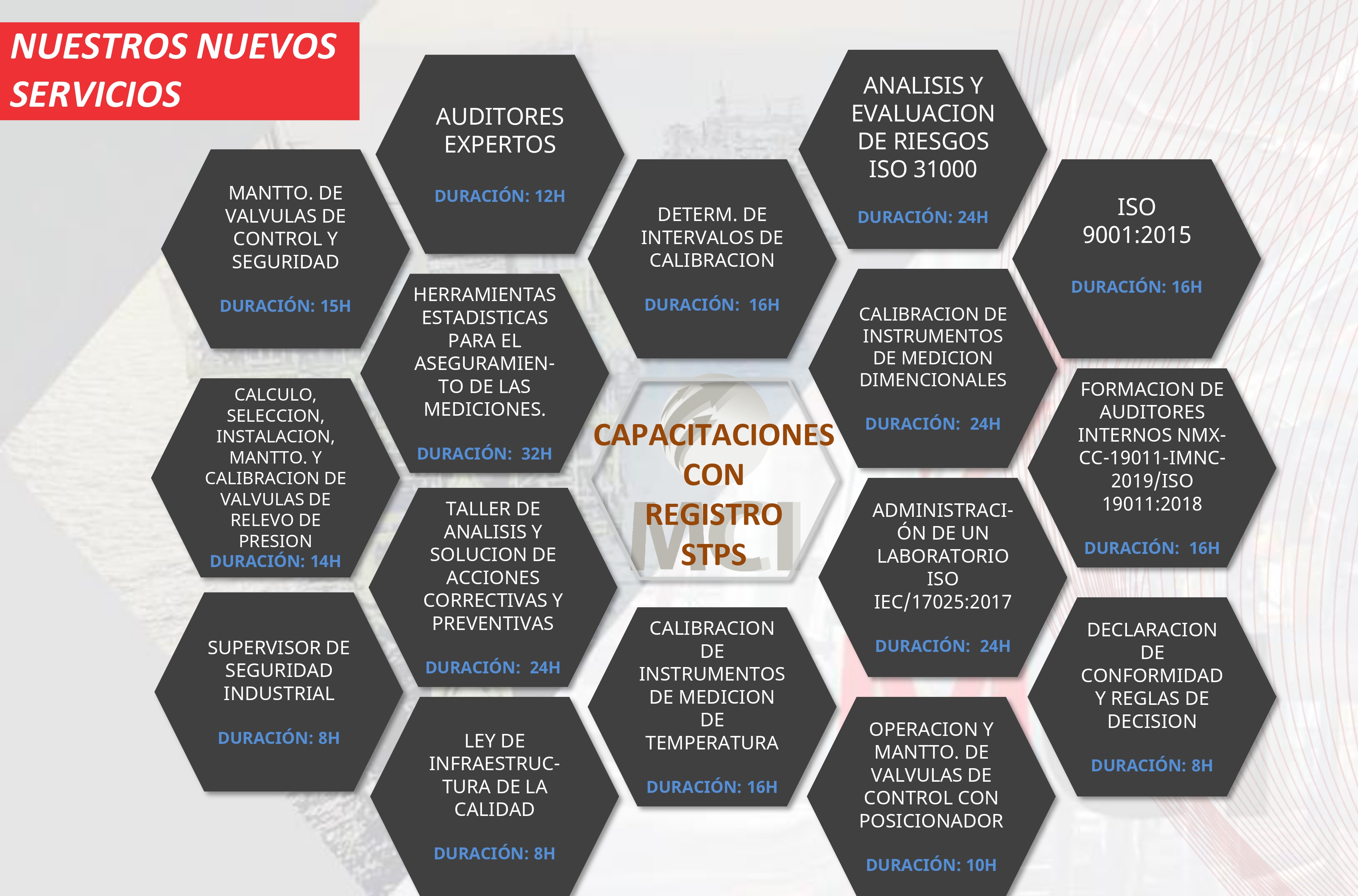 Capacitación Profesional STPS